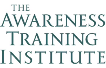 The Awareness Training Institute